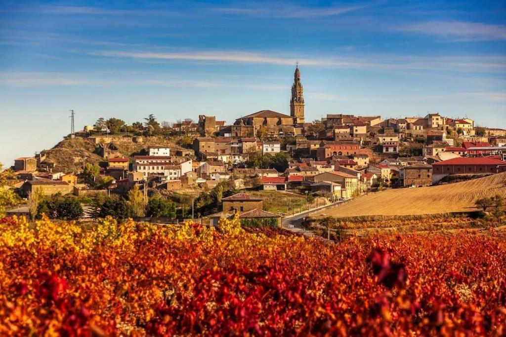 Chalet Entero En La Rioja Villa Briones Dış mekan fotoğraf